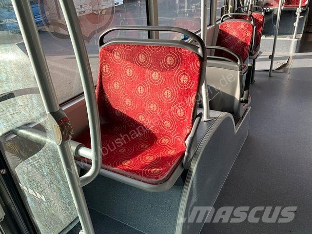 MAN A 23 Lion´s City/ O 530 G/ Citaro Gelede bussen